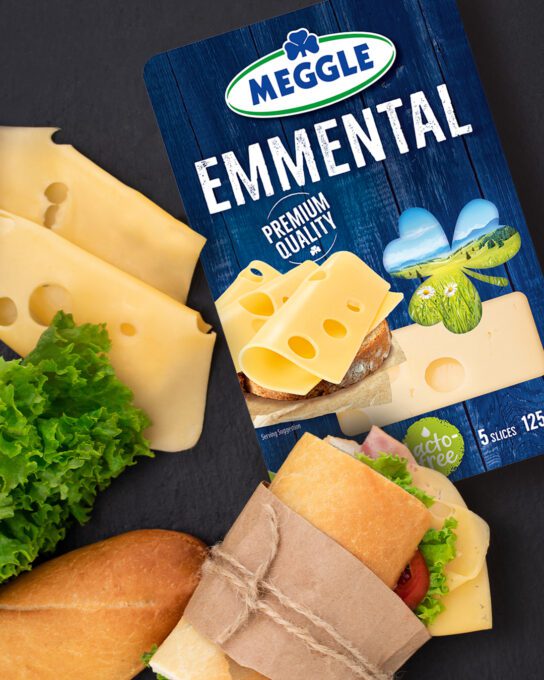 MEGGLE Cheeses